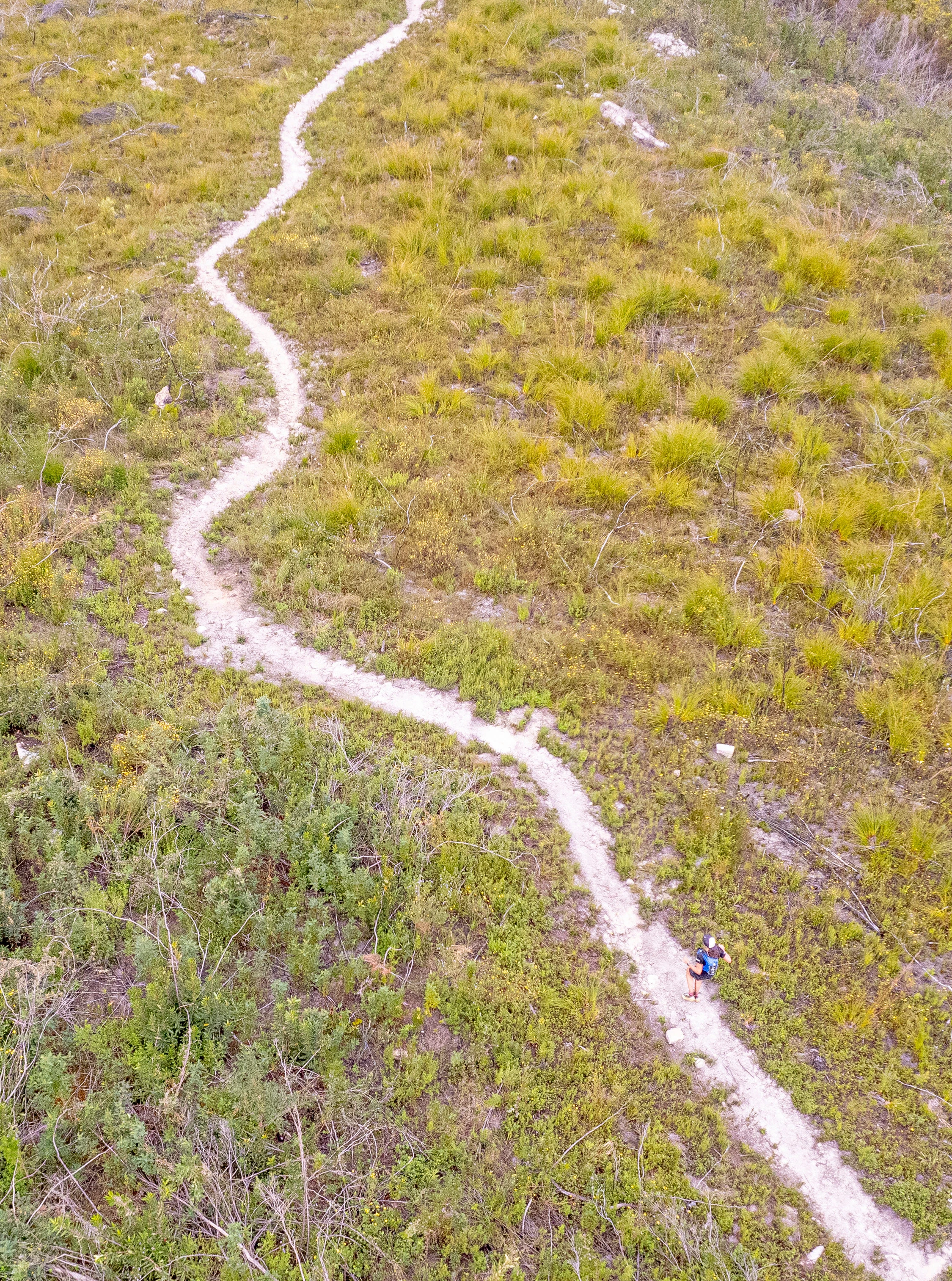Tsitsikamma Ultra 2026 race photo: 0119