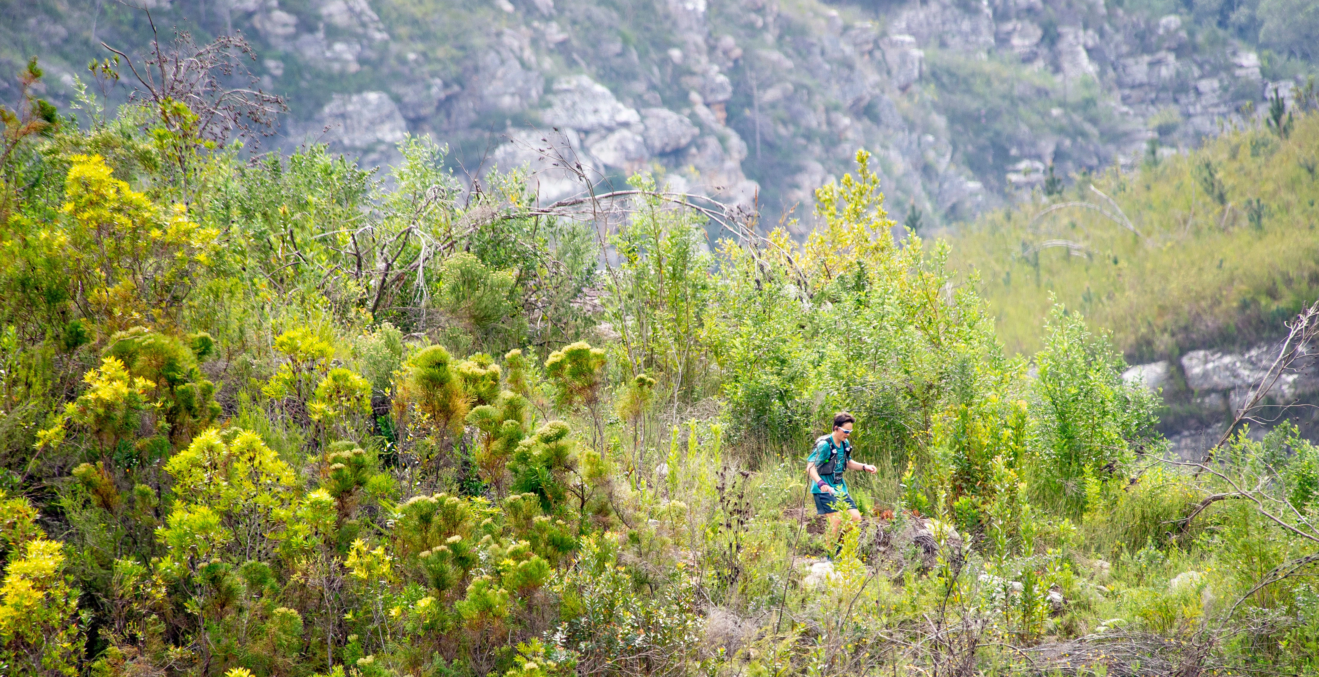 Tsitsikamma Ultra 2026 race photo: 0120
