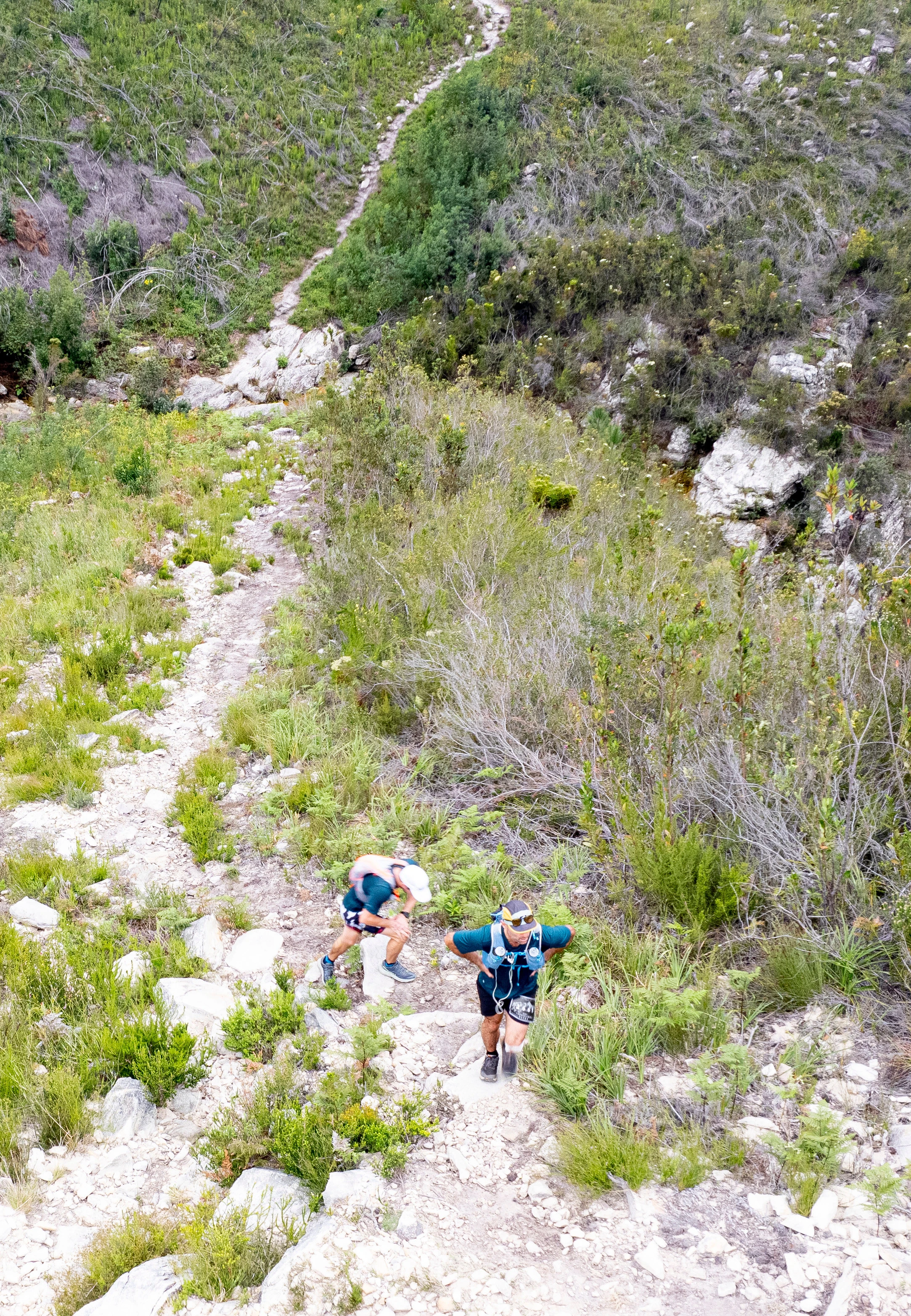 Tsitsikamma Ultra 2026 race photo: 0140