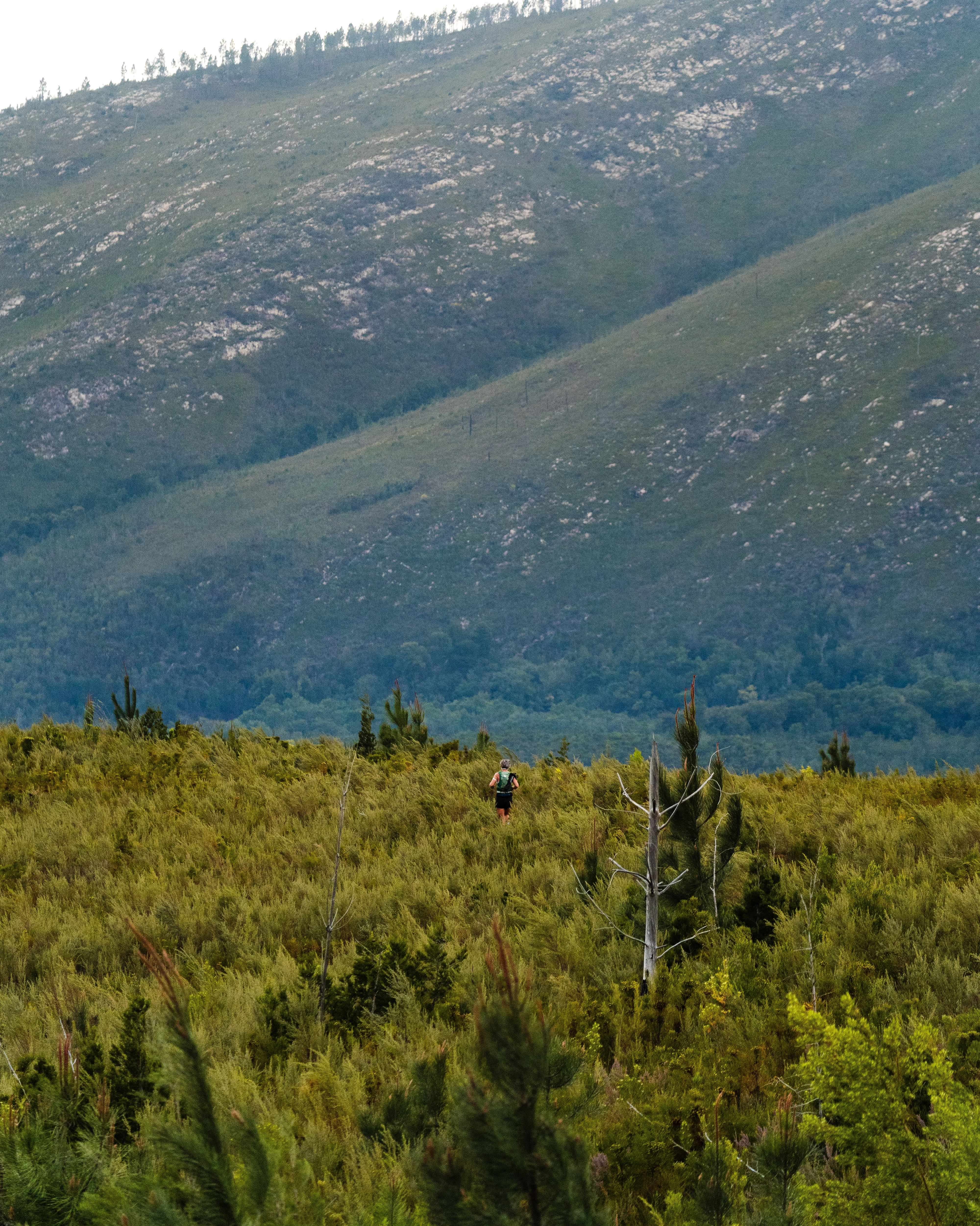 Tsitsikamma Ultra 2026 race photo: Tsitsikamma Ultra Carmen Claire Photography11