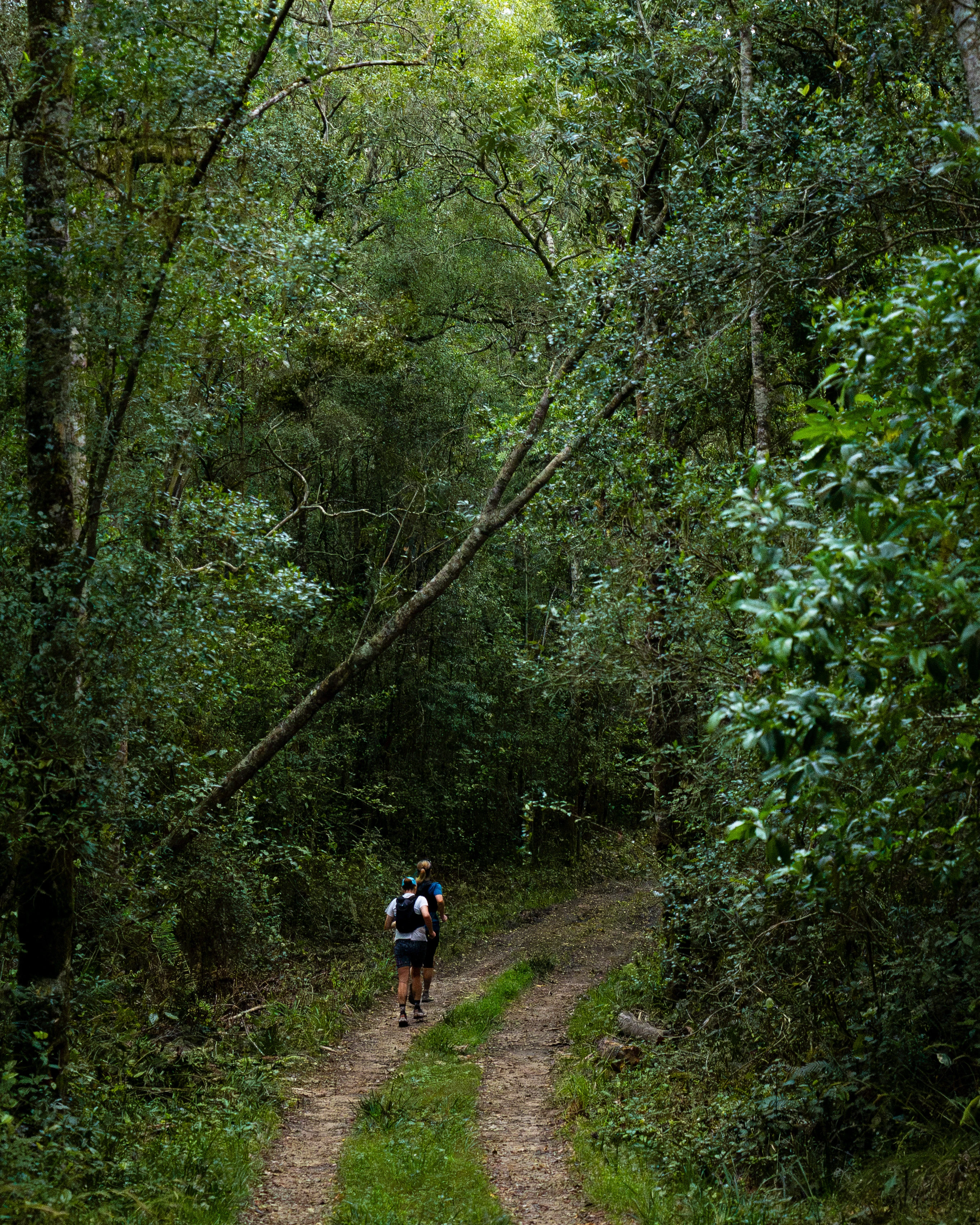 Tsitsikamma Ultra 2026 race photo: Tsitsikamma Ultra Carmen Claire Photography27