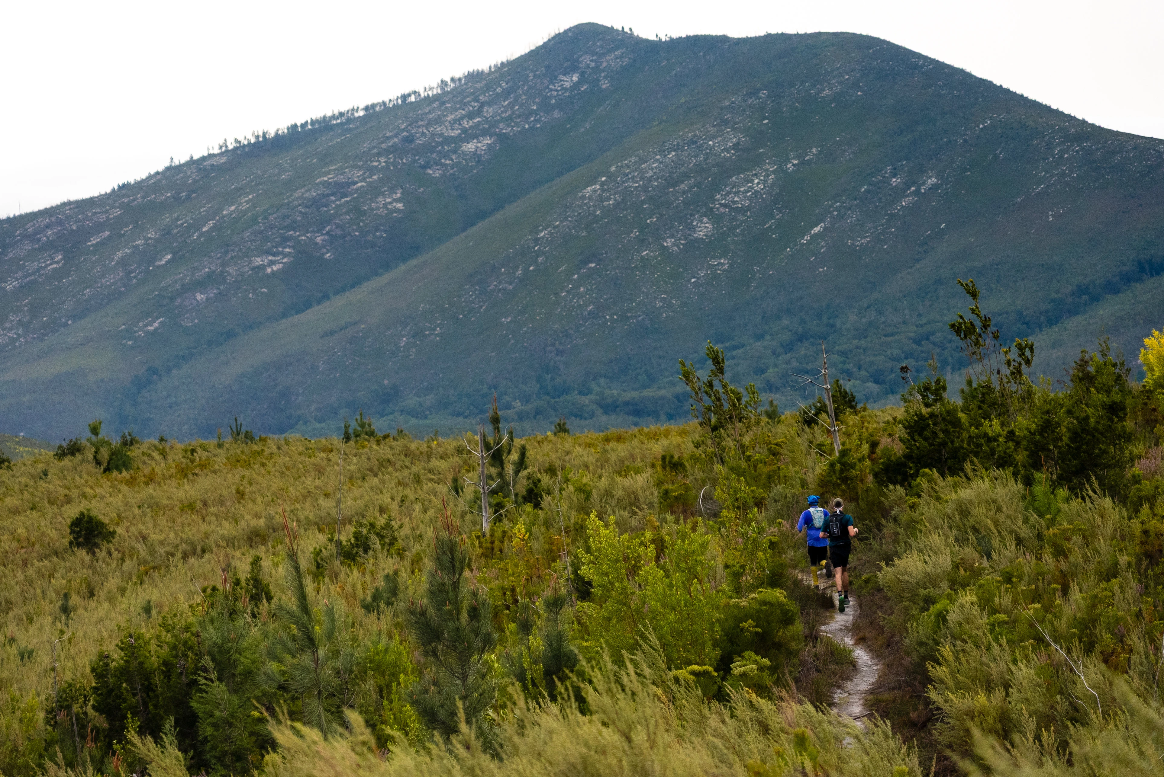 Tsitsikamma Ultra 2026 race photo: Tsitsikamma Ultra Carmen Claire Photography28