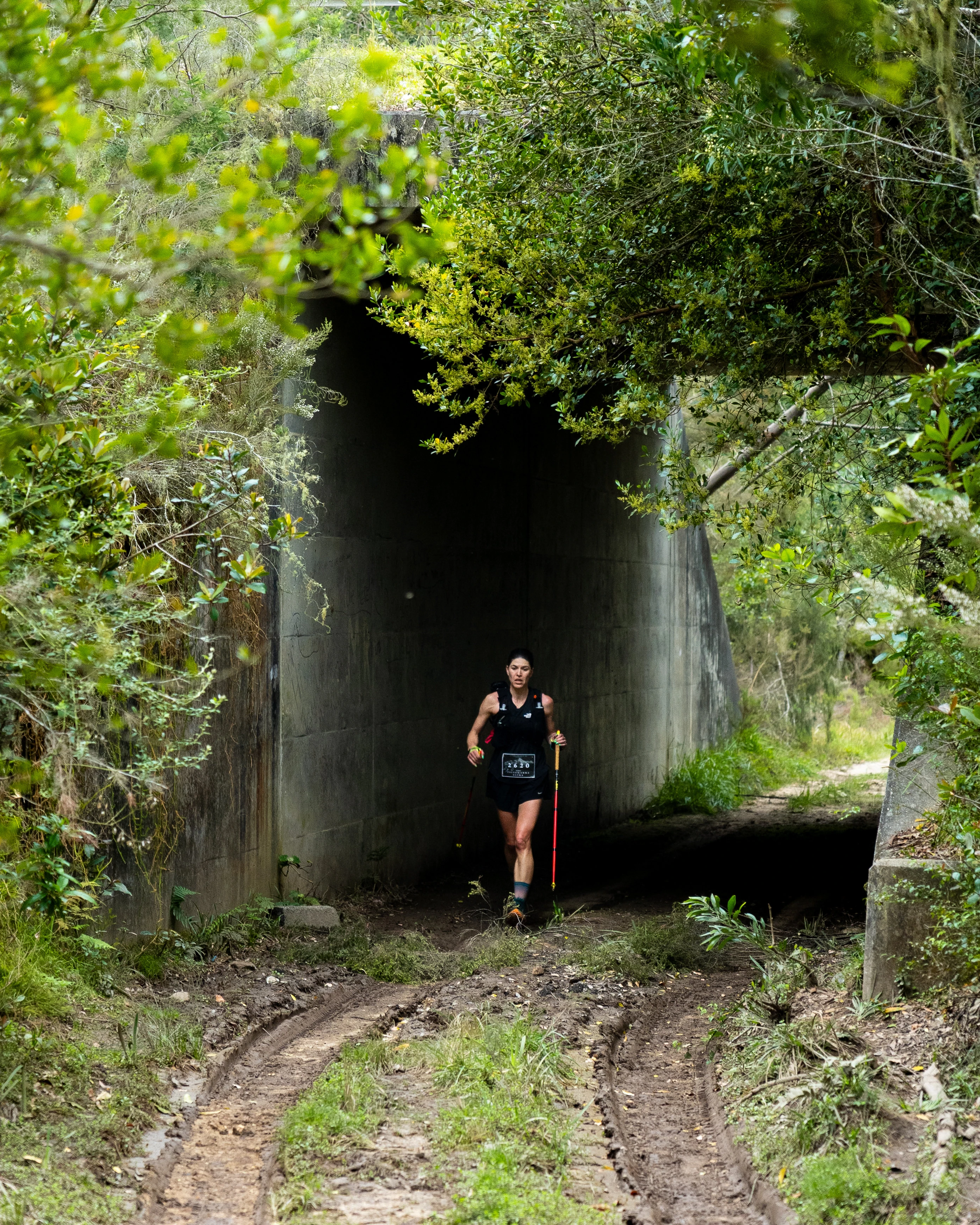 Tsitsikamma Ultra 2026 race photo: Tsitsikamma Ultra Carmen Claire Photography3