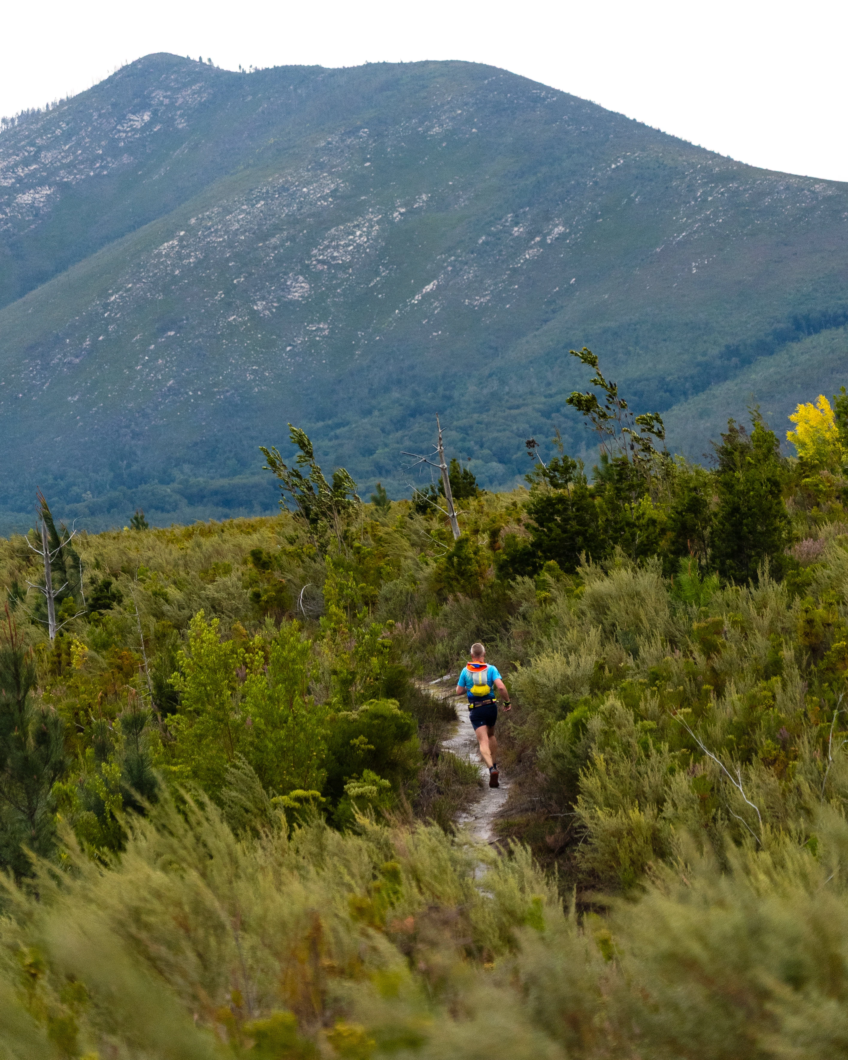 Tsitsikamma Ultra 2026 race photo: Tsitsikamma Ultra Carmen Claire Photography30