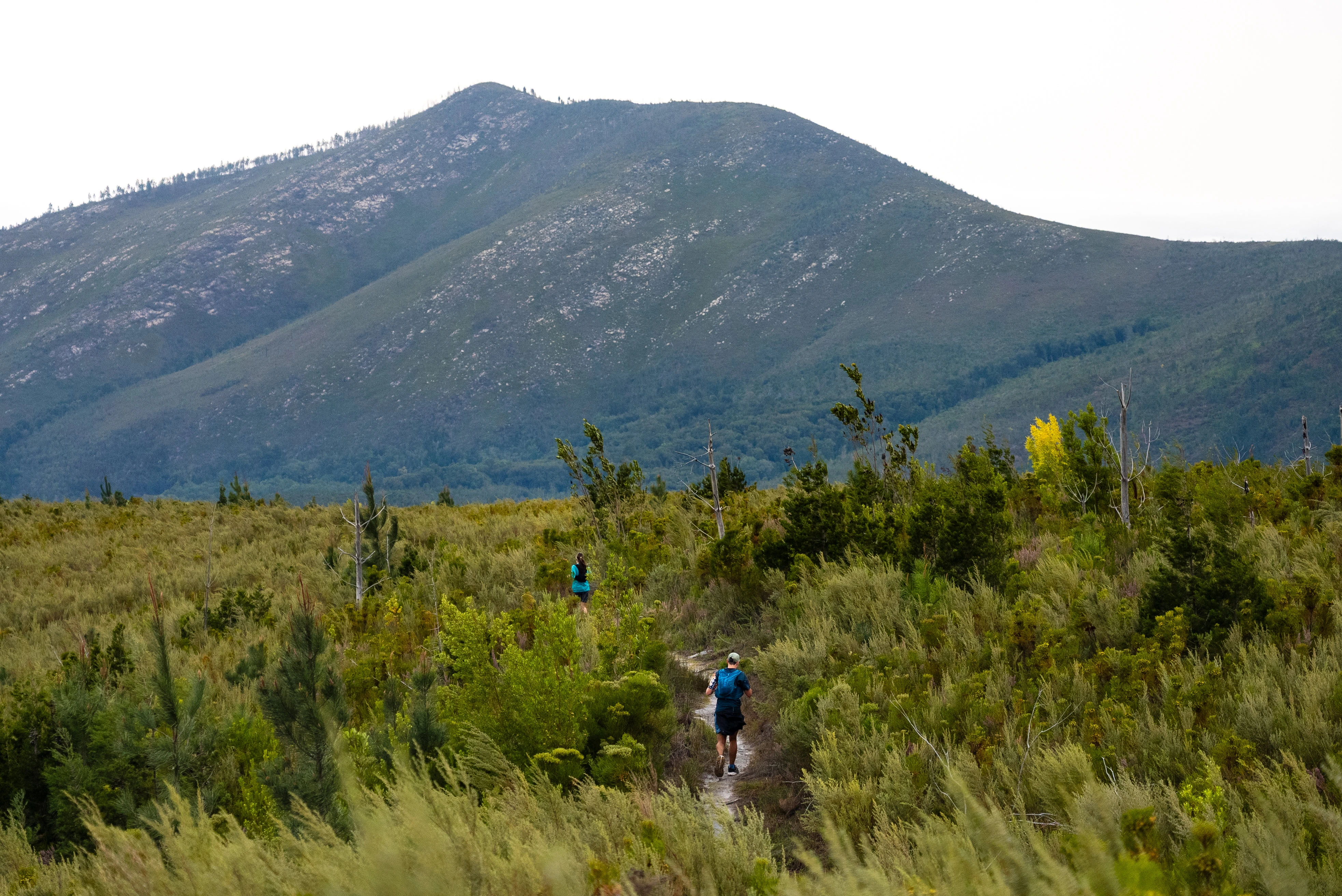 Tsitsikamma Ultra 2026 race photo: Tsitsikamma Ultra Carmen Claire Photography31