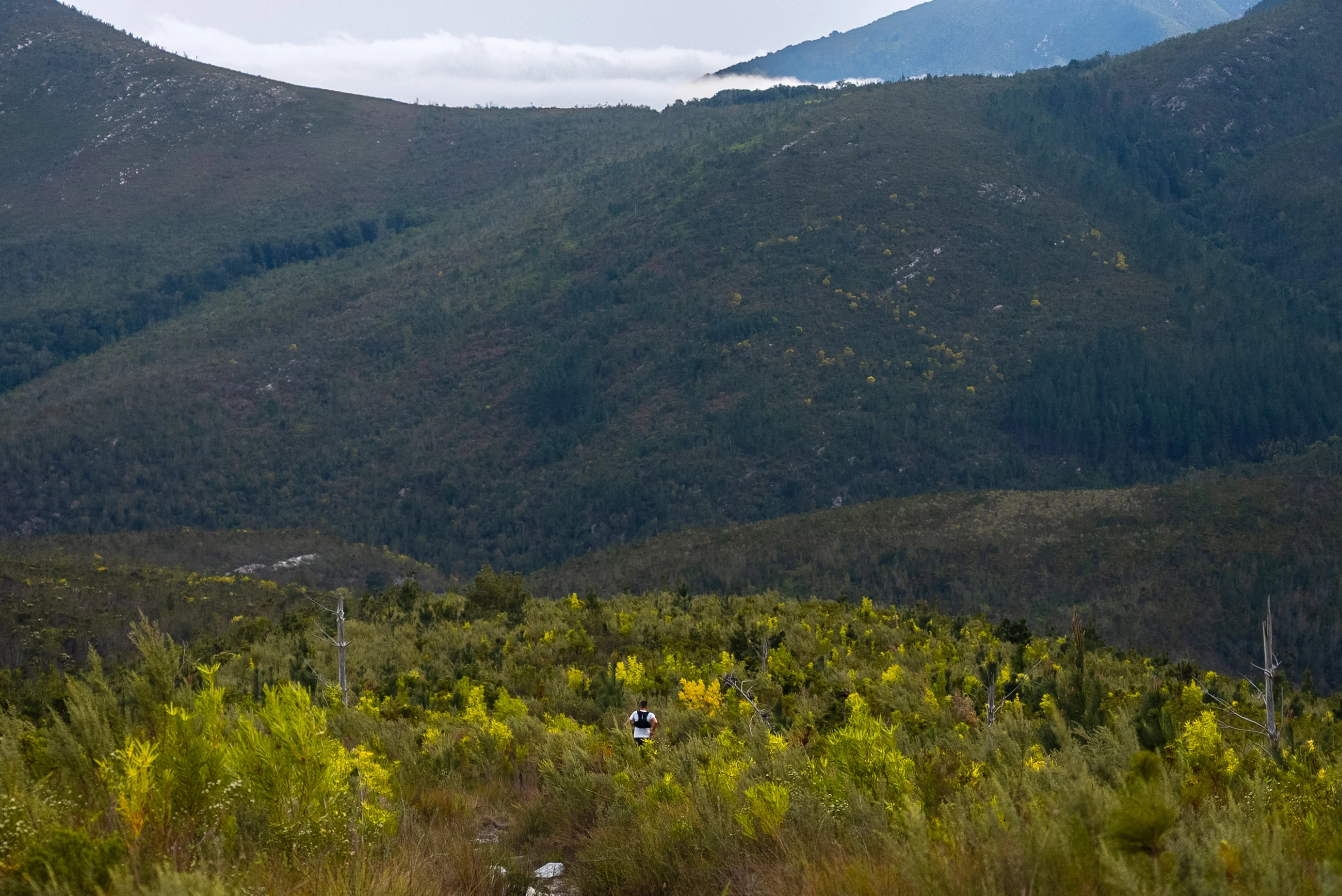 Tsitsikamma Ultra 2026 race photo: Tsitsikamma Ultra Carmen Claire Photography39
