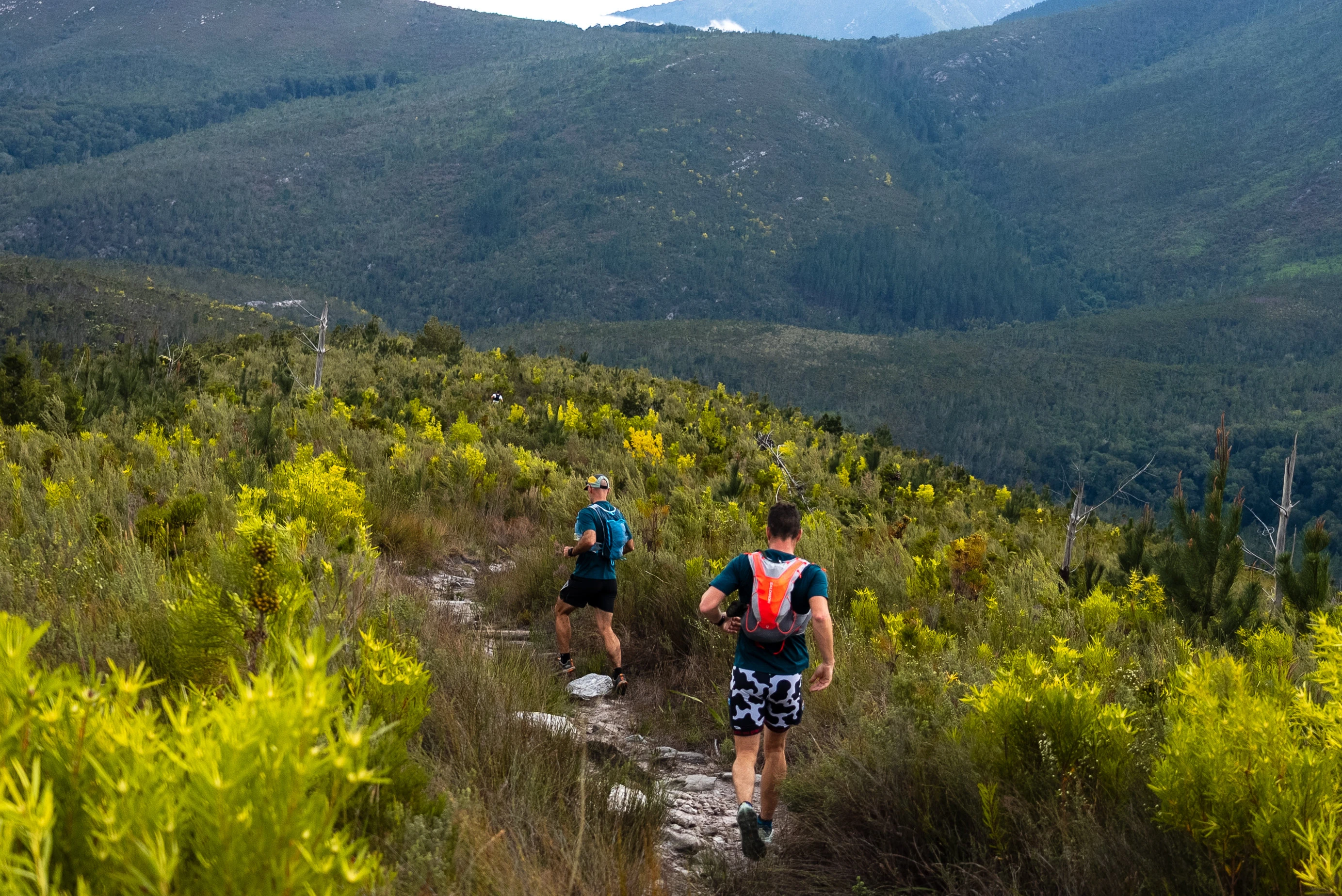 Tsitsikamma Ultra 2026 race photo: Tsitsikamma Ultra Carmen Claire Photography41