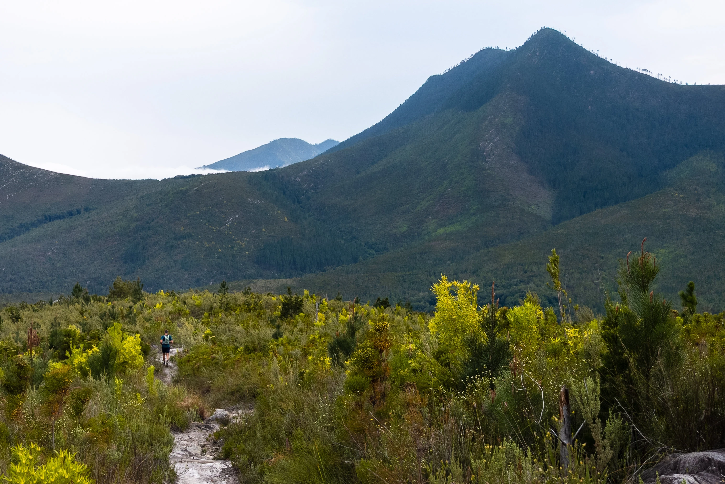 Tsitsikamma Ultra 2026 race photo: Tsitsikamma Ultra Carmen Claire Photography44