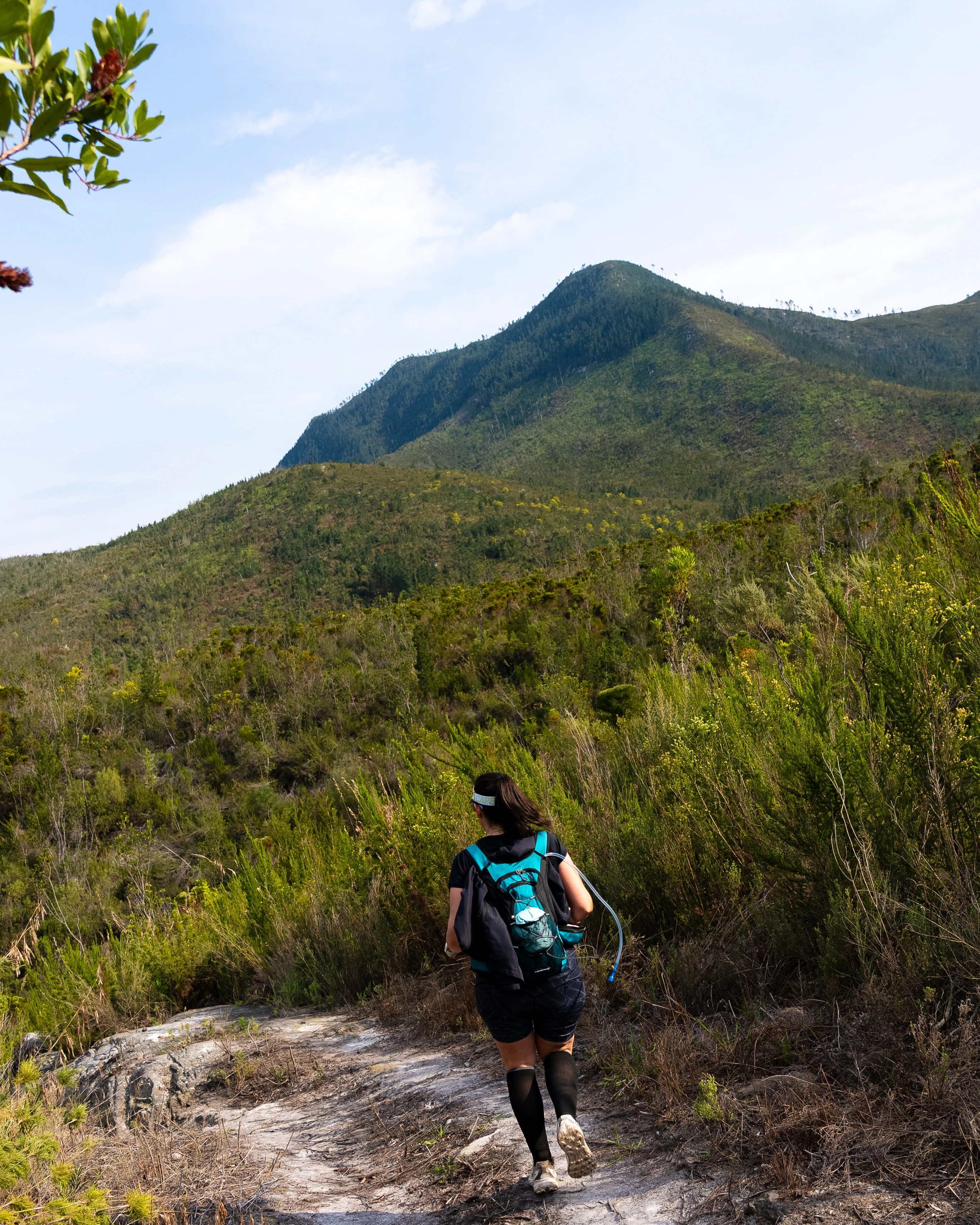 Tsitsikamma Ultra 2026 race photo: Tsitsikamma Ultra Carmen Claire Photography50