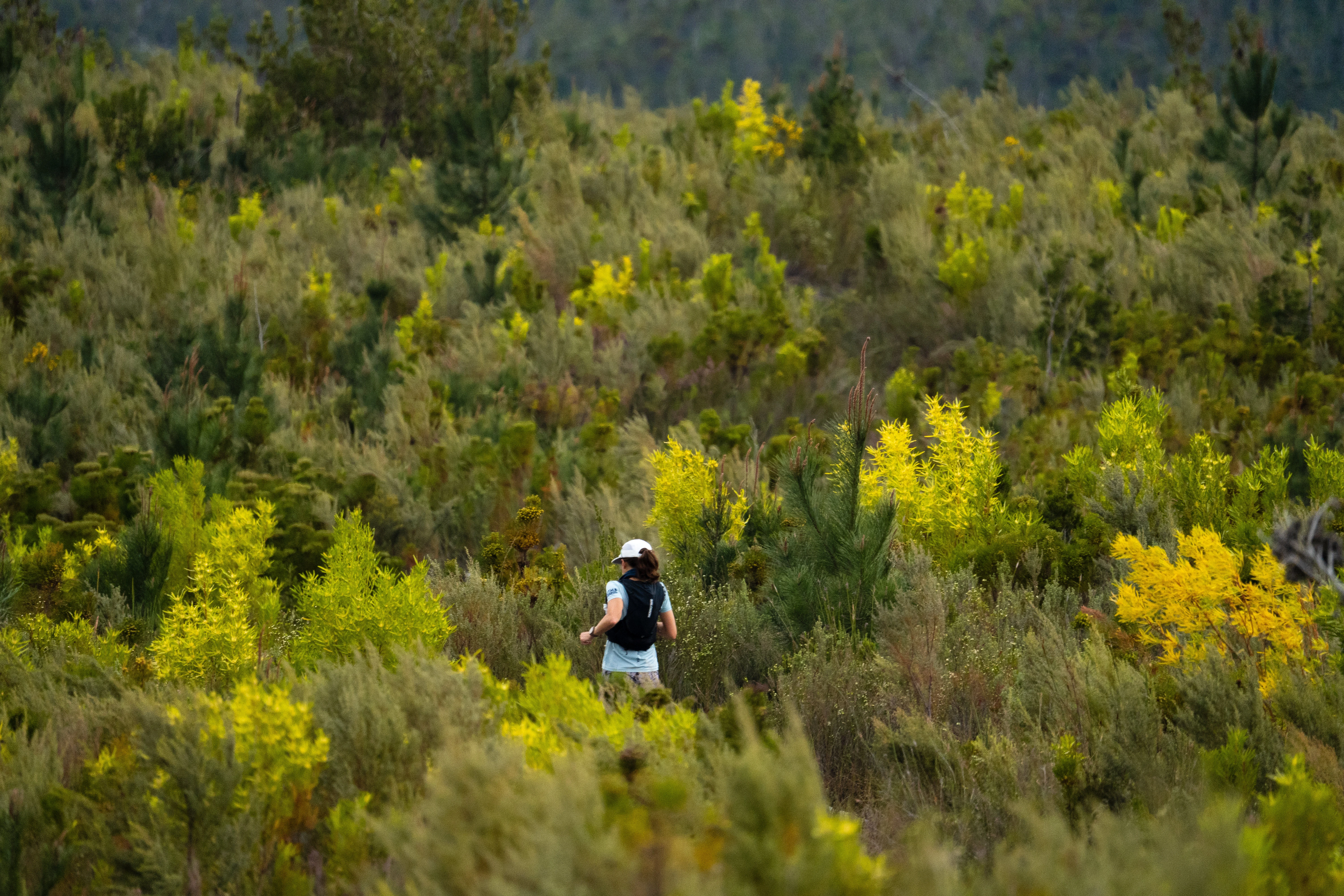 Tsitsikamma Ultra 2026 race photo: Tsitsikamma Ultra Carmen Claire Photography6
